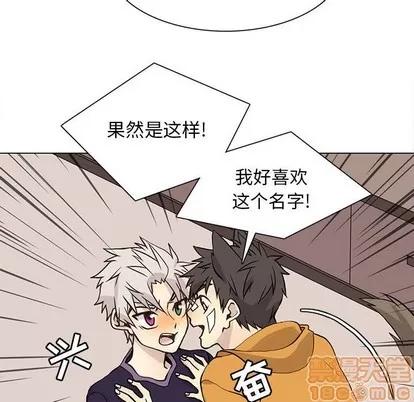 野性之城 野性之城 | 第87章 第80页