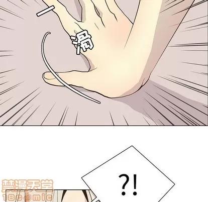 野性之城 野性之城 | 第87章 第85页