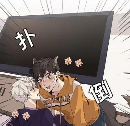 野性之城 野性之城 | 第87章 第88页