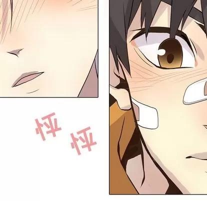 野性之城 野性之城 | 第88章 第23页