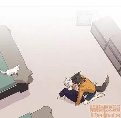 野性之城 野性之城 | 第88章 第40页