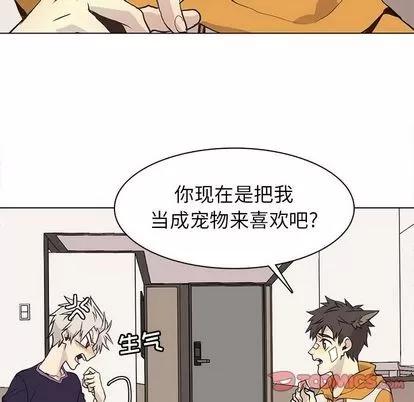 野性之城 野性之城 | 第88章 第54页