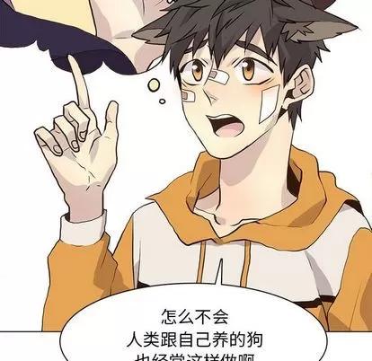 野性之城 野性之城 | 第88章 第57页