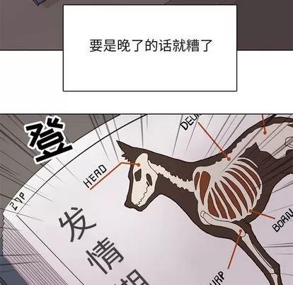 野性之城 野性之城 | 第88章 第84页
