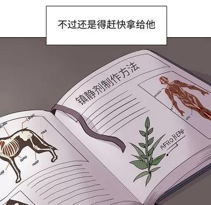 野性之城 野性之城 | 第89章 第8页