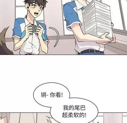 野性之城 野性之城 | 第89章 第17页
