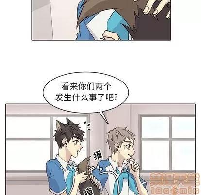 野性之城 野性之城 | 第89章 第20页