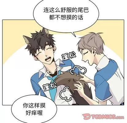 野性之城 野性之城 | 第89章 第22页