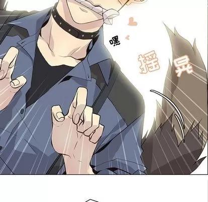野性之城 野性之城 | 第89章 第37页
