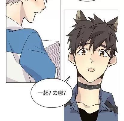 野性之城 野性之城 | 第90章 第52页