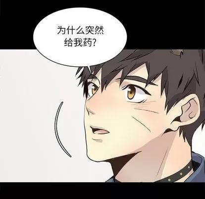 野性之城 野性之城 | 第90章 第61页