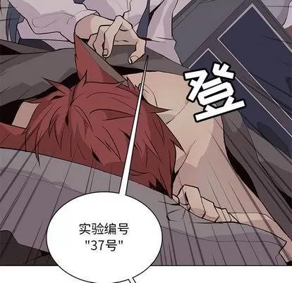 野性之城 野性之城 | 第91章 第77页