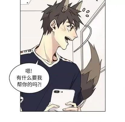 野性之城 野性之城 | 第92章 第28页