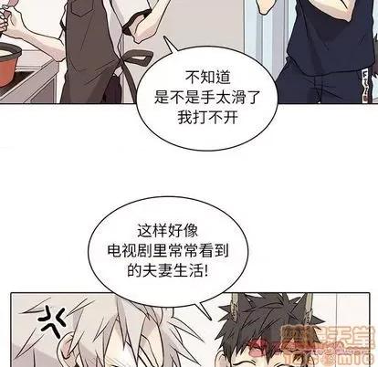 野性之城 野性之城 | 第92章 第30页