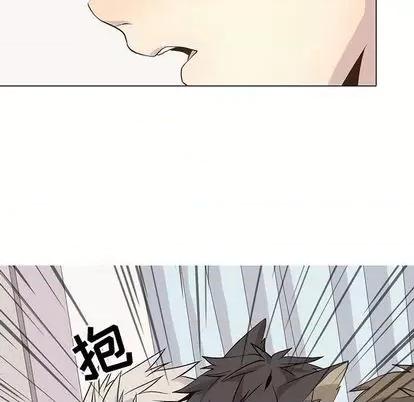 野性之城 野性之城 | 第92章 第39页