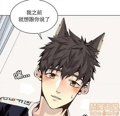 野性之城 野性之城 | 第92章 第45页
