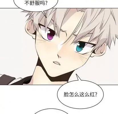 野性之城 野性之城 | 第92章 第47页