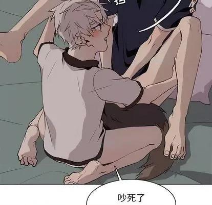 野性之城 野性之城 | 第93章 第53页