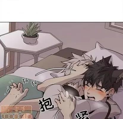 野性之城 野性之城 | 第93章 第65页