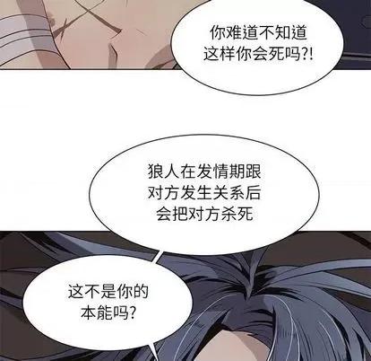 野性之城 野性之城 | 第93章 第72页