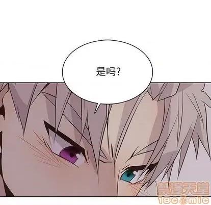野性之城 野性之城 | 第94章 第25页