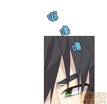野性之城 野性之城 | 第94章 第55页