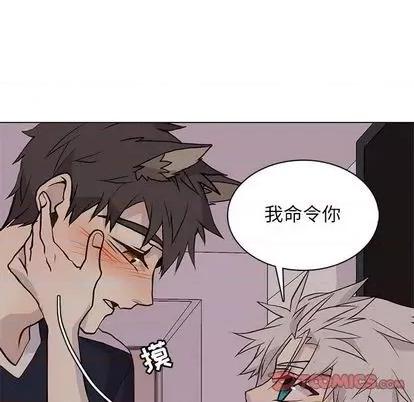 野性之城 野性之城 | 第94章 第66页