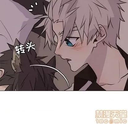 野性之城 野性之城 | 第95章 第80页