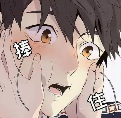 野性之城 野性之城 | 第96章 第36页