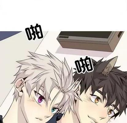 野性之城 野性之城 | 第96章 第67页