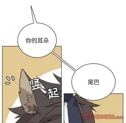 野性之城 野性之城 | 第97章 第22页