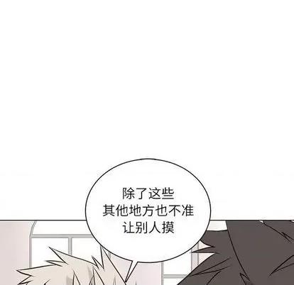 野性之城 野性之城 | 第97章 第24页