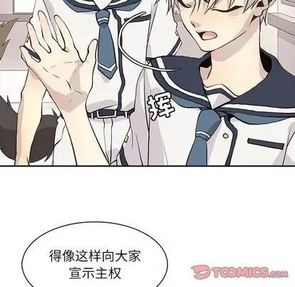 野性之城 野性之城 | 第97章 第34页