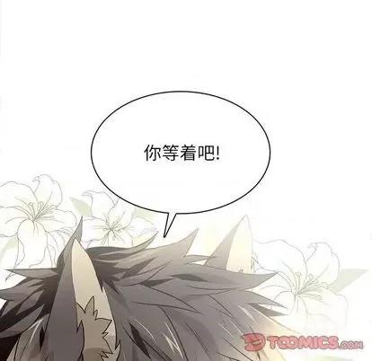 野性之城 野性之城 | 第97章 第42页