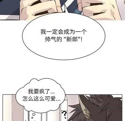 野性之城 野性之城 | 第97章 第44页