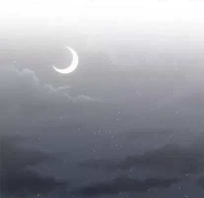 野性之城 野性之城 | 第98章 第69页