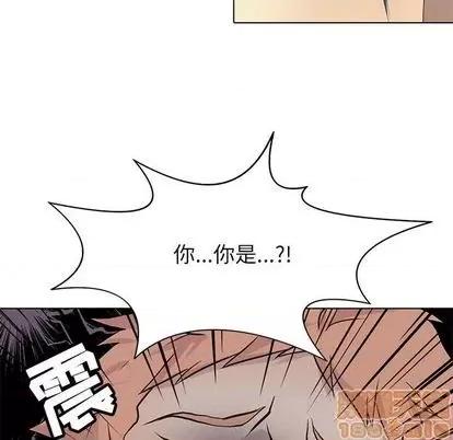 野性之城 野性之城 | 第98章 第85页