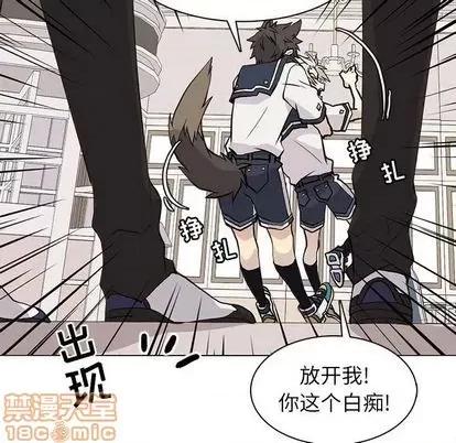 野性之城 野性之城 | 第100章 第20页