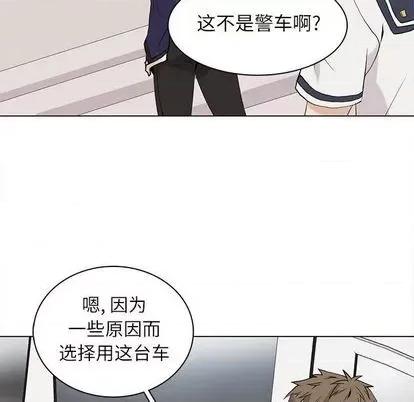 野性之城 野性之城 | 第100章 第47页