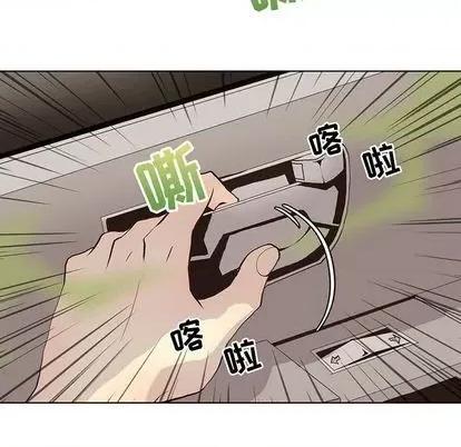 野性之城 野性之城 | 第101章 第8页