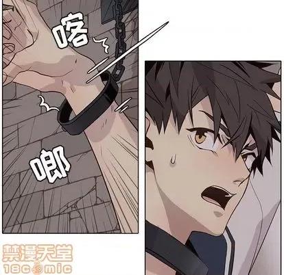 野性之城 野性之城 | 第101章 第65页