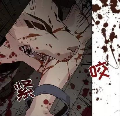 野性之城 野性之城 | 第102章 第59页
