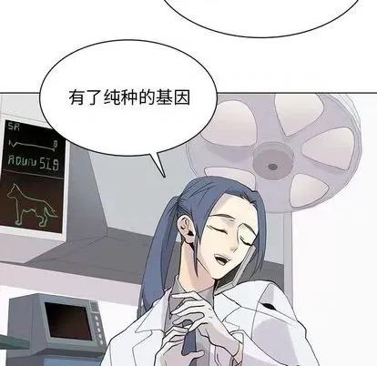野性之城 野性之城 | 第102章 第87页