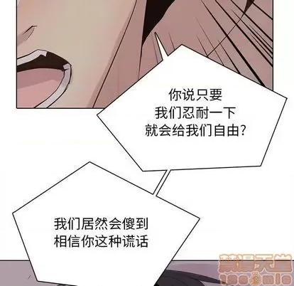 野性之城 野性之城 | 第103章 第65页