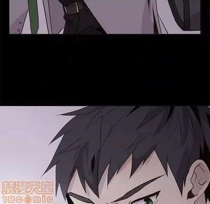 野性之城 野性之城 | 第104章 第105页