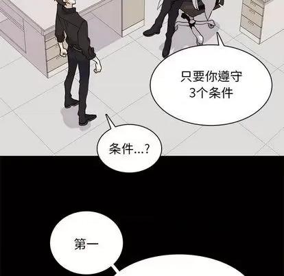 野性之城 野性之城 | 第105章 第52页