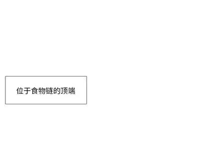 野性之城 野性之城 第1页
