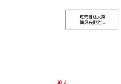 野性之城 野性之城 第2页