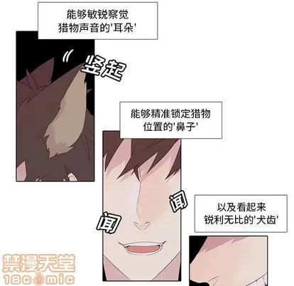 野性之城 野性之城 第5页