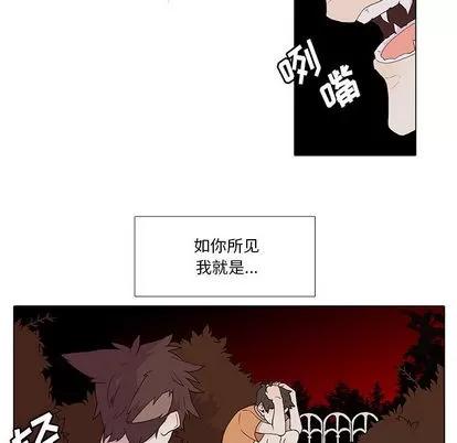 野性之城 野性之城 第6页